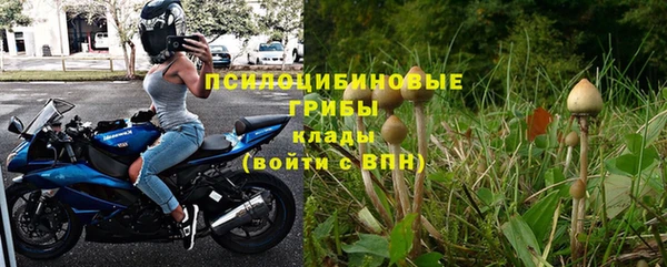 спиды Богданович
