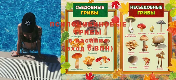 прущая мука Богородицк