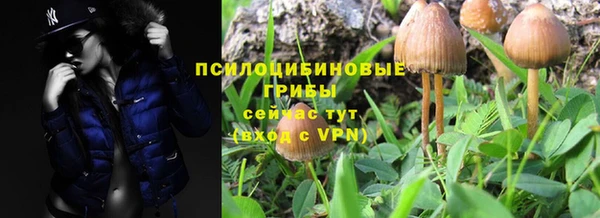 спиды Богданович