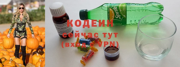 спиды Богданович